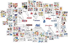 Brands by AJC1 branding photo